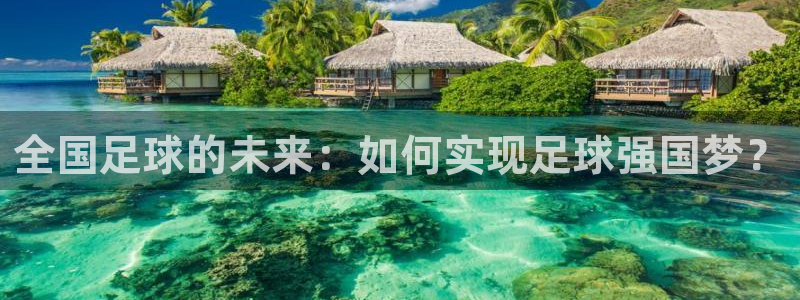 全国足球的未来：如何实现足球强国梦？
