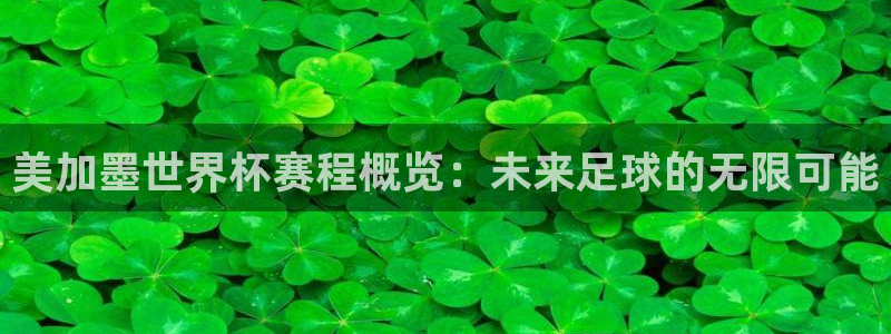 美加墨世界杯赛程概览：未来足球的无限可能