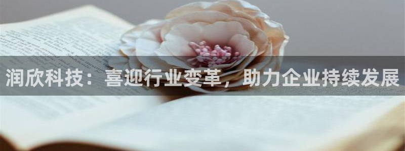 润欣科技：喜迎行业变革，助力企业持续发展