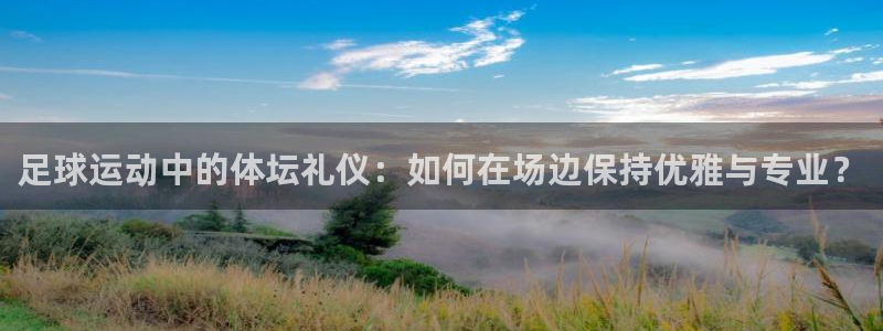 足球运动中的体坛礼仪：如何在场边保持优雅与专业？