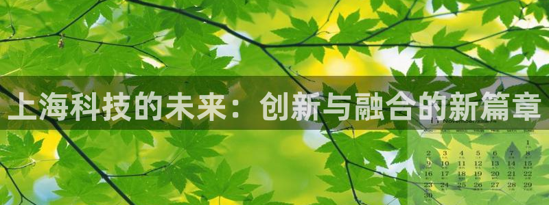 上海科技的未来：创新与融合的新篇章