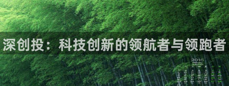 深创投：科技创新的领航者与领跑者