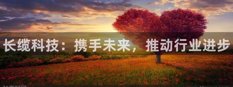长缆科技：携手未来，推动行业进步