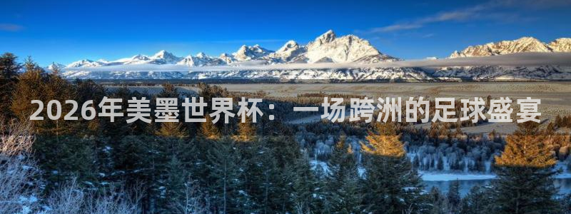 2026年美墨世界杯：一场跨洲的足球盛宴