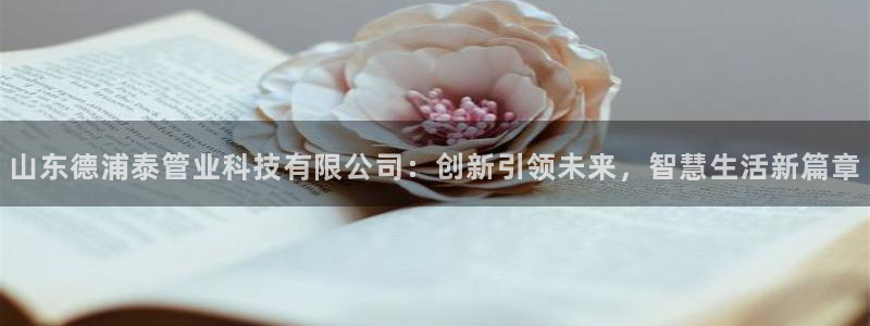 山东德浦泰管业科技有限公司：创新引领未来，智慧生活新篇章