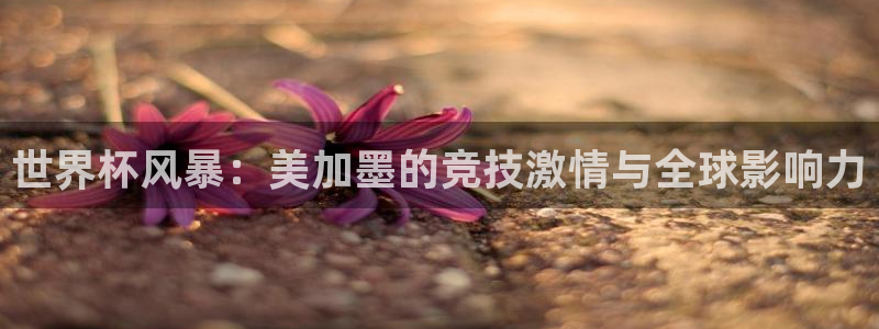 世界杯风暴：美加墨的竞技激情与全球影响力