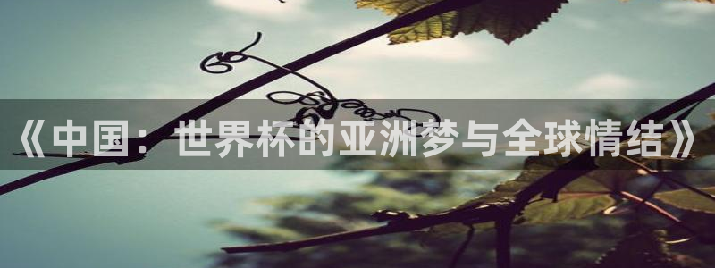 《中国：世界杯的亚洲梦与全球情结》
