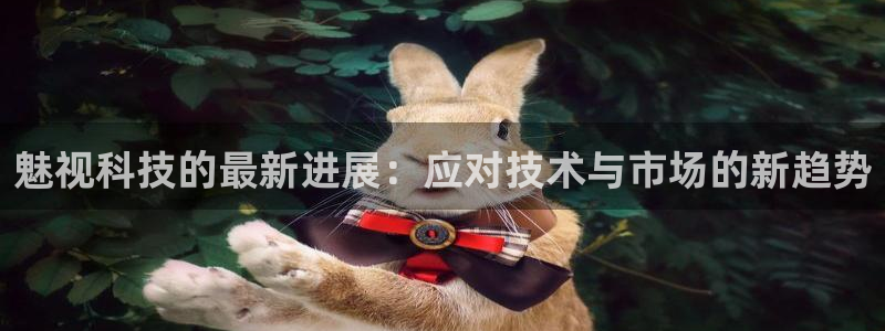 魅视科技的最新进展：应对技术与市场的新趋势