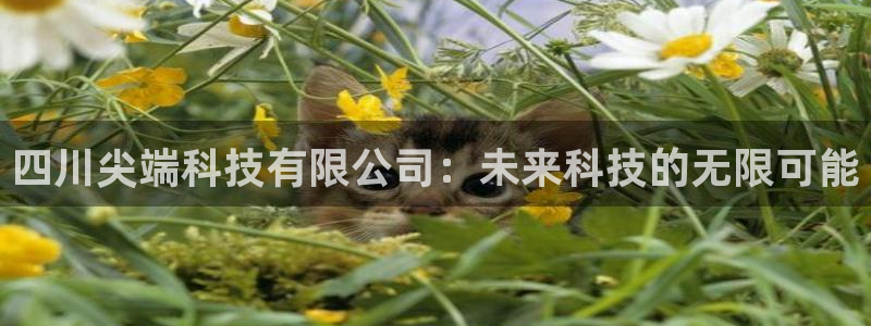 四川尖端科技有限公司：未来科技的无限可能