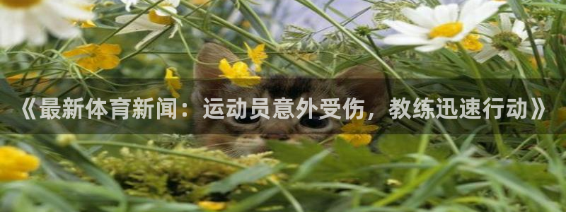 《最新体育新闻：运动员意外受伤，教练迅速行动》