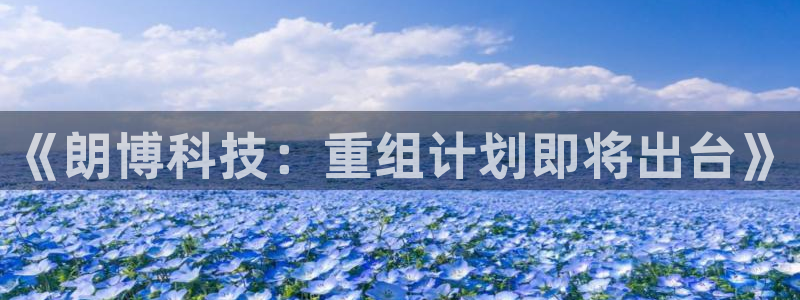 《朗博科技：重组计划即将出台》