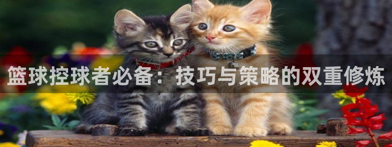 篮球控球者必备：技巧与策略的双重修炼