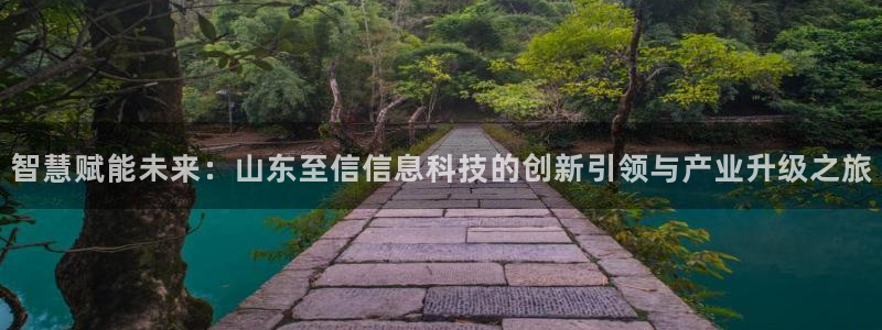 智慧赋能未来：山东至信信息科技的创新引领与产业升级之旅