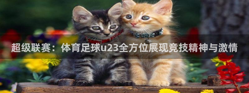 超级联赛：体育足球u23全方位展现竞技精神与激情