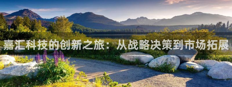 嘉汇科技的创新之旅：从战略决策到市场拓展