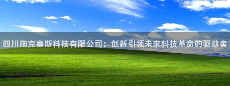 四川施克塞斯科技有限公司：创新引领未来科技革命的驱动者