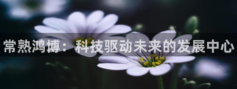 常熟鸿博：科技驱动未来的发展中心