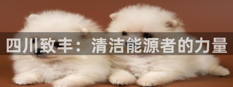 四川致丰：清洁能源者的力量