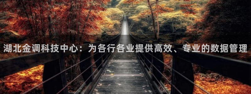湖北金调科技中心：为各行各业提供高效、专业的数据管理