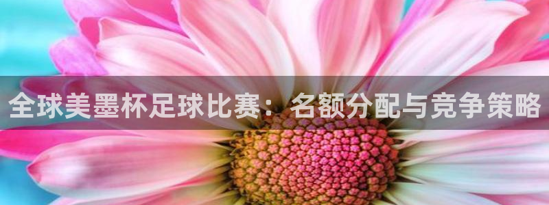 全球美墨杯足球比赛：名额分配与竞争策略