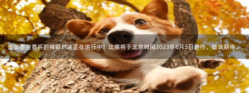 美加墨世界杯的精彩对决正在进行中！比赛将于北京时间2023年6月5日进行，敬请期待。