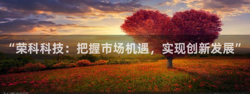 “荣科科技：把握市场机遇，实现创新发展”