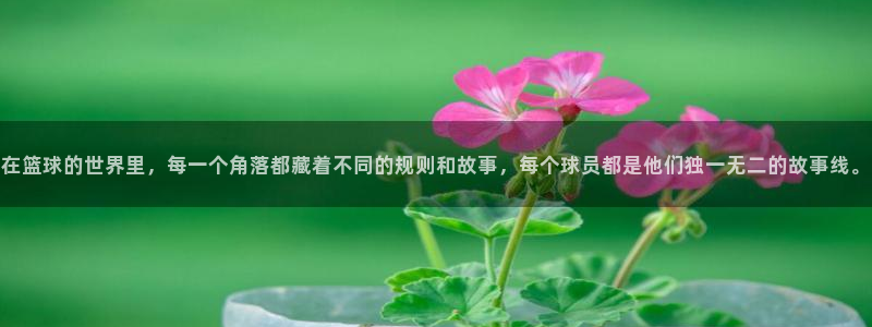 在篮球的世界里，每一个角落都藏着不同的规则和故事，每个球员都是他们独一无二的故事线。