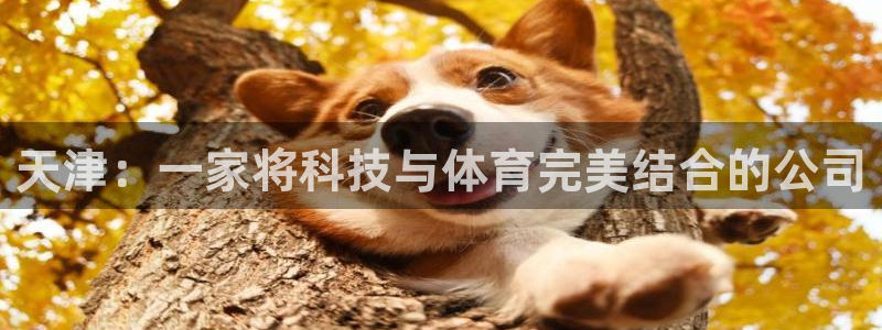 天津：一家将科技与体育完美结合的公司