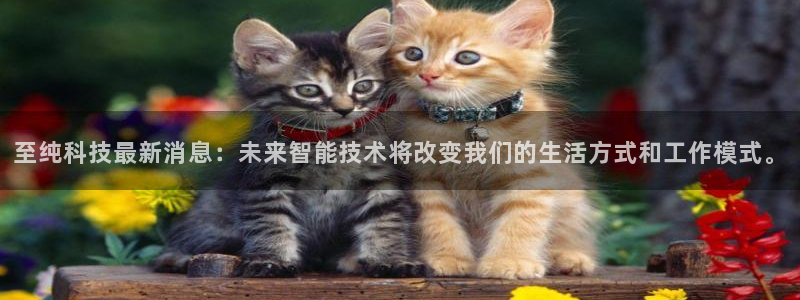 至纯科技最新消息：未来智能技术将改变我们的生活方式和工作模式。