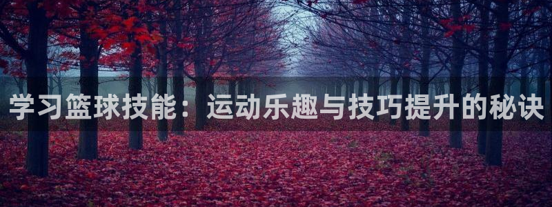 学习篮球技能：运动乐趣与技巧提升的秘诀